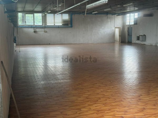 casa indipendente in affitto a Villa del Conte