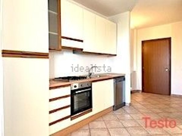 appartamento in affitto a Due Carrare in zona Terradura