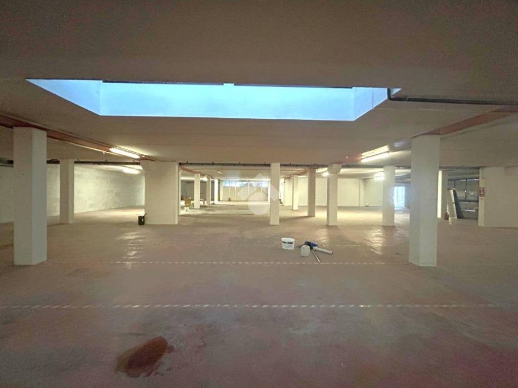 locale commerciale in affitto a Due Carrare in zona Terradura