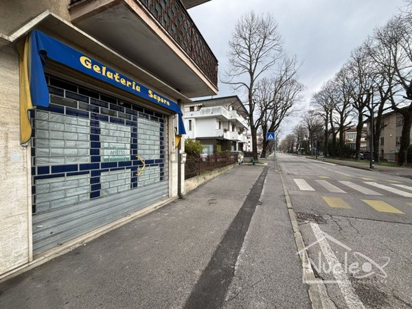 locale commerciale in affitto a Due Carrare