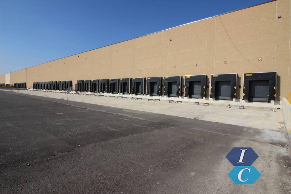 locale commerciale in affitto a Due Carrare in zona Palazzina