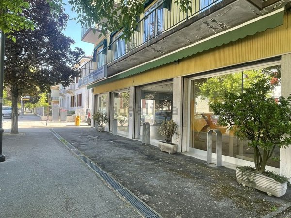 negozio in affitto a Due Carrare