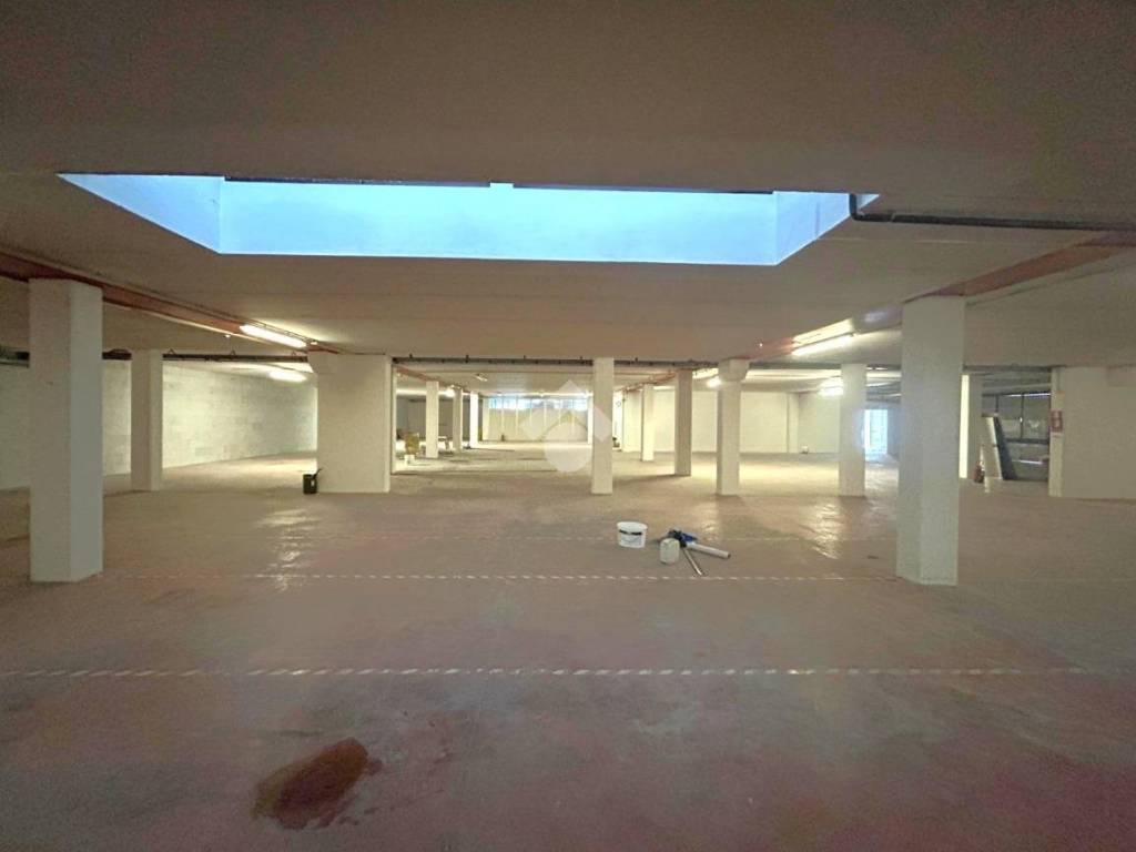locale commerciale in affitto a Due Carrare in zona Terradura