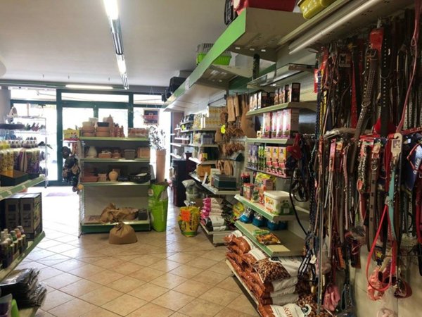 negozio in affitto ad Adria