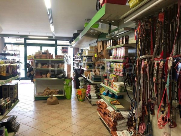 negozio in affitto ad Adria