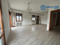 appartamento in affitto ad Adria