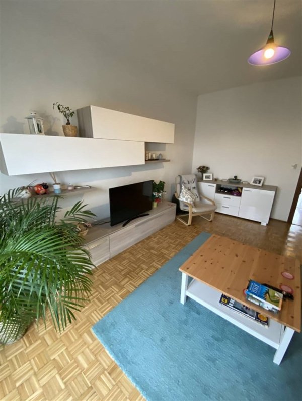 appartamento in affitto ad Adria