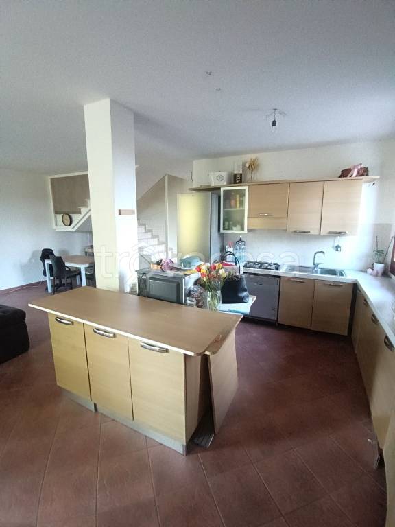 casa indipendente in affitto ad Adria
