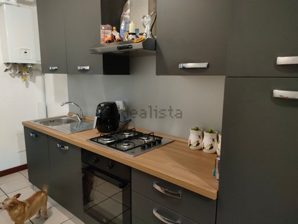 appartamento in affitto a Badia Polesine