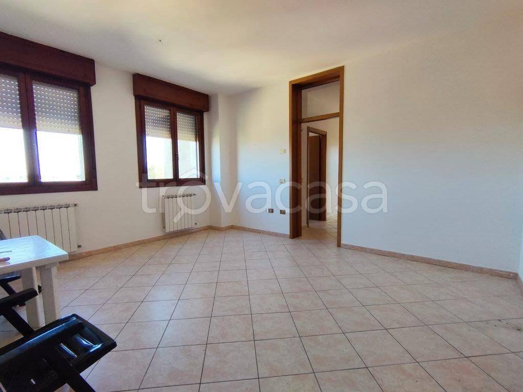 appartamento in affitto a Canaro