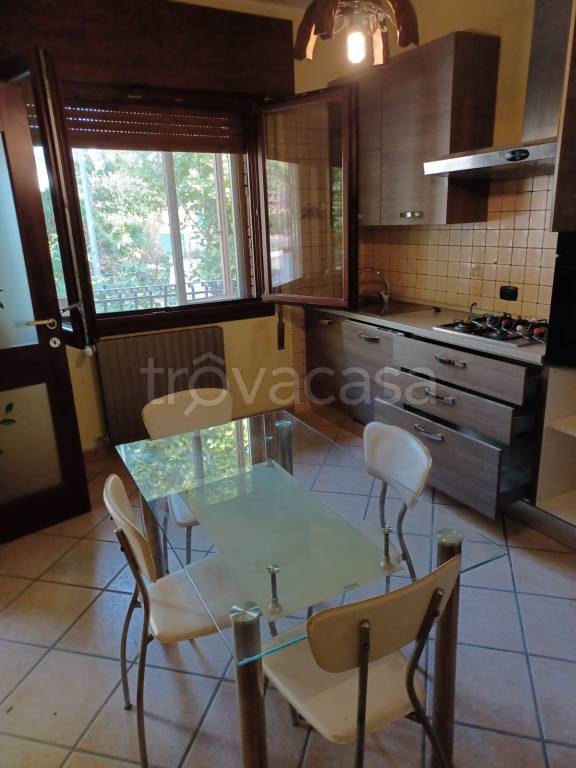 appartamento in affitto a Canaro