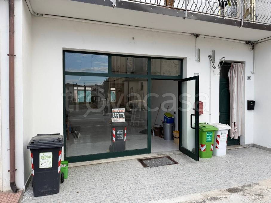 appartamento in affitto a Canaro