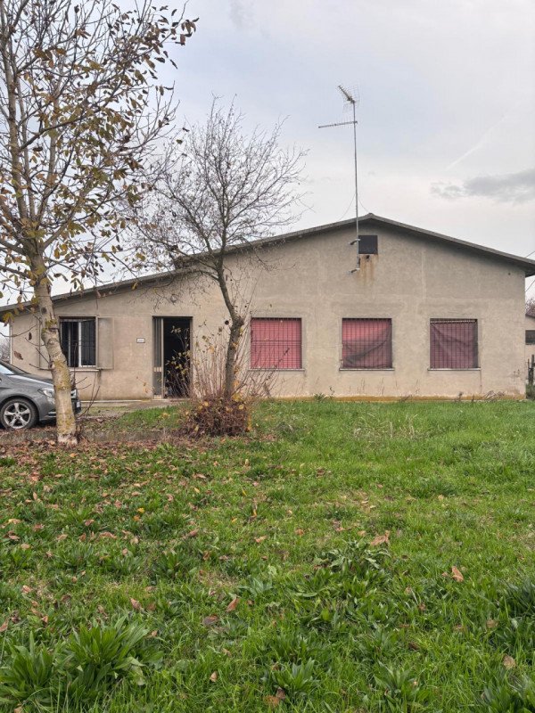 casa semindipendente in affitto a Ceneselli