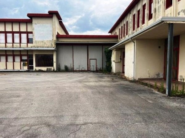 capannone in affitto a Costa di Rovigo