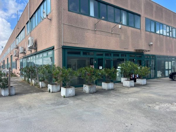 locale commerciale in affitto ad Occhiobello