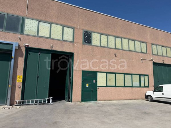 appartamento in affitto ad Occhiobello