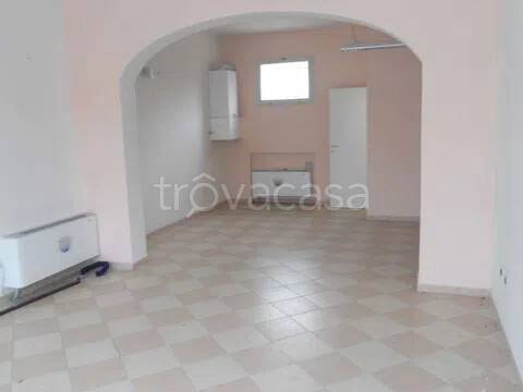 negozio in affitto ad Occhiobello