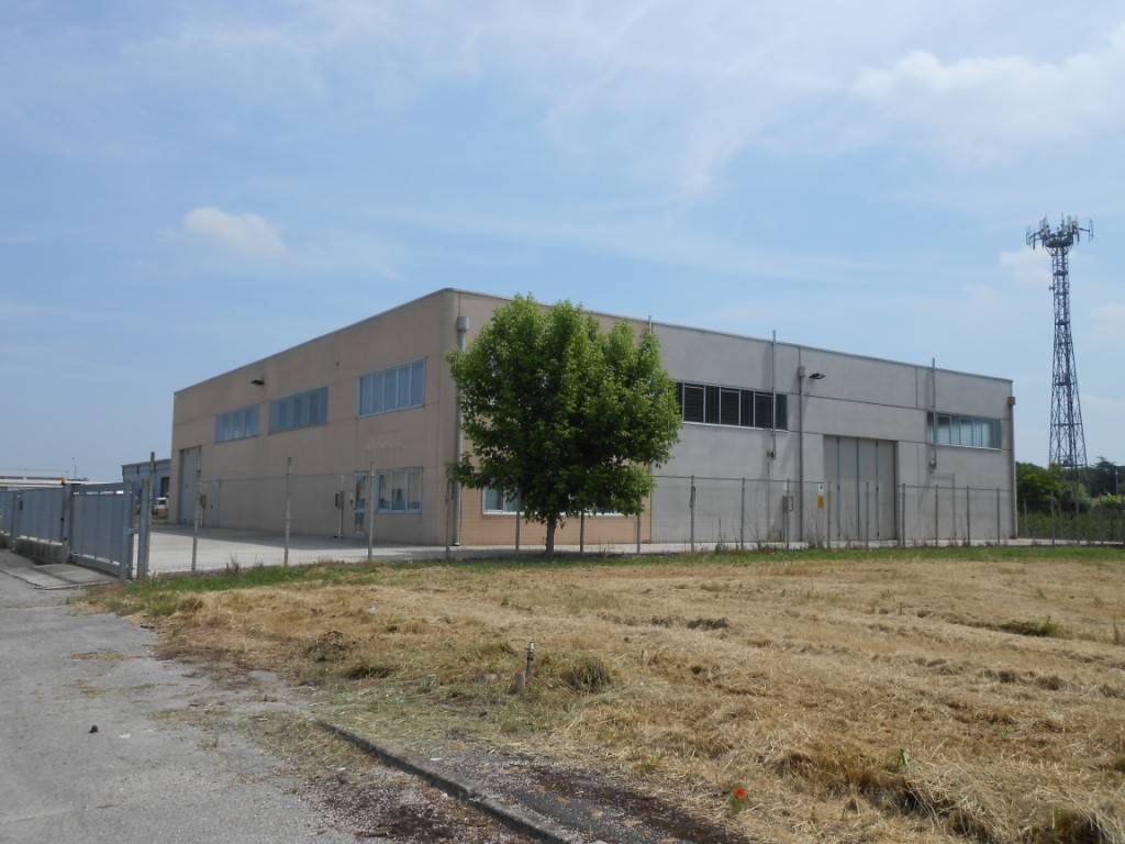 locale commerciale in affitto a Polesella