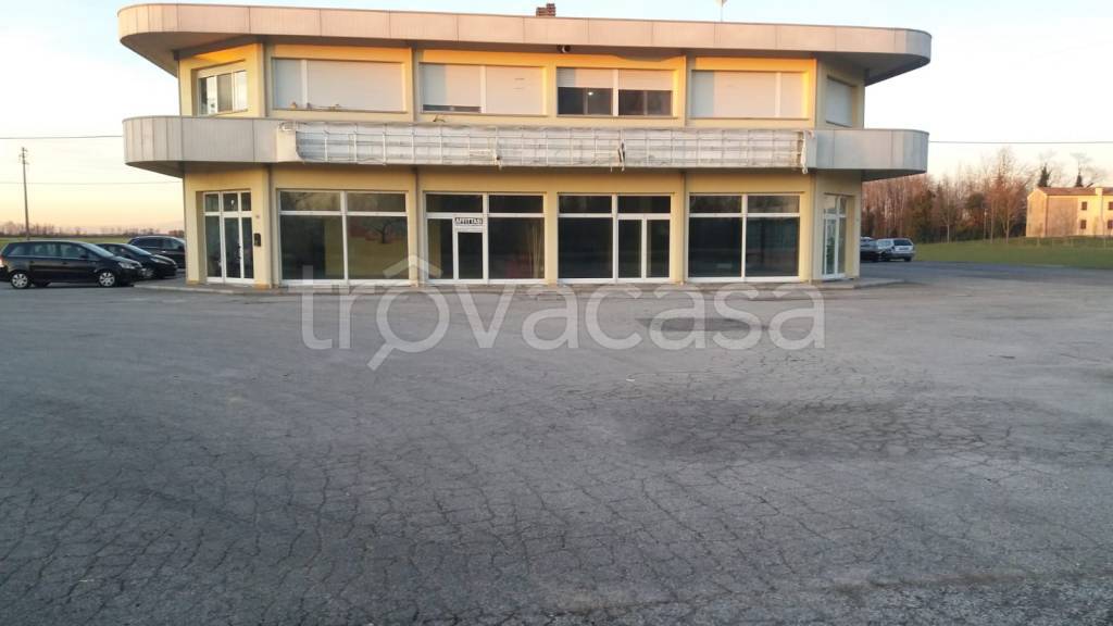 negozio in affitto a Polesella