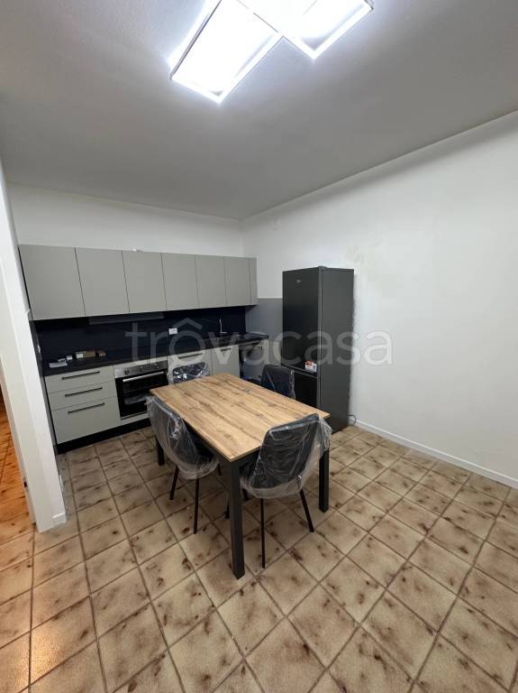 appartamento in affitto a Polesella