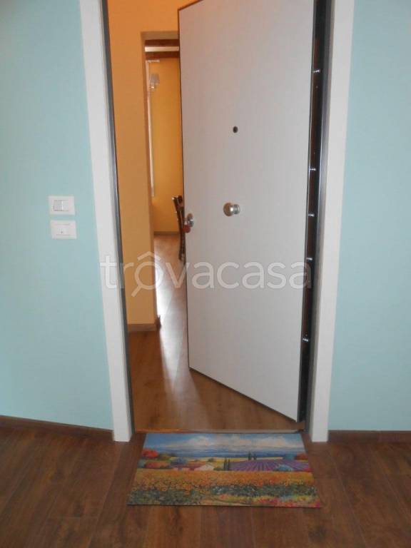 appartamento in affitto a Polesella