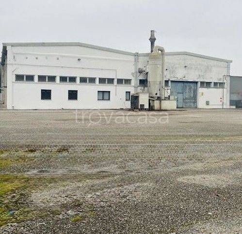 locale commerciale in affitto a Polesella