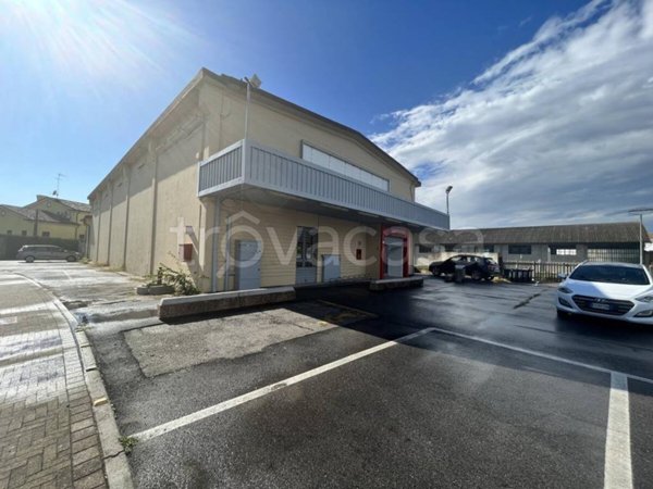 trivano in affitto a Rosolina