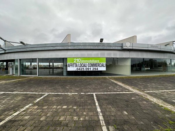 negozio in affitto a Rovigo in zona Borsea