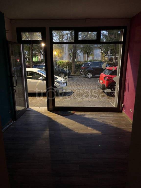 appartamento in affitto a Rovigo