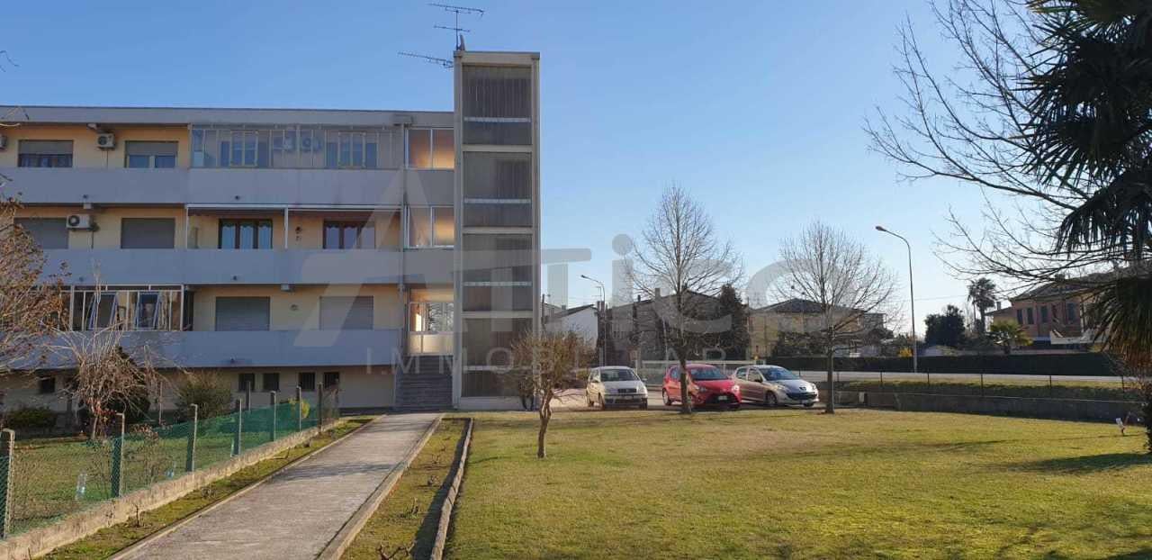 appartamento in affitto a Rovigo