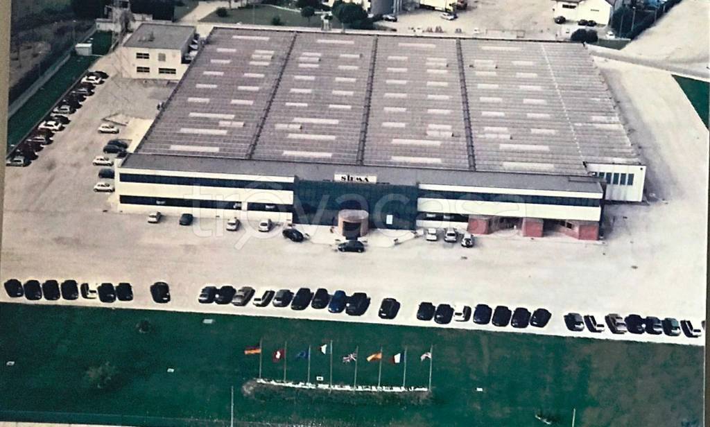 appartamento in affitto a Rovigo