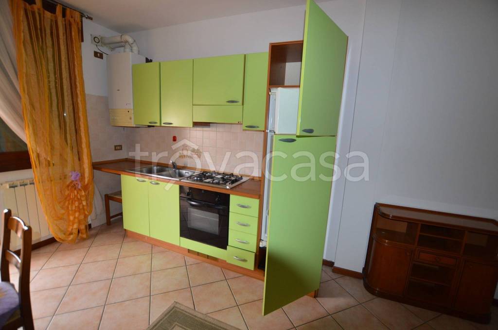 appartamento in affitto a Rovigo