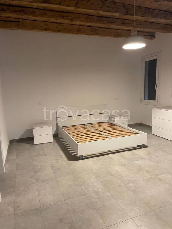 appartamento in affitto a Rovigo
