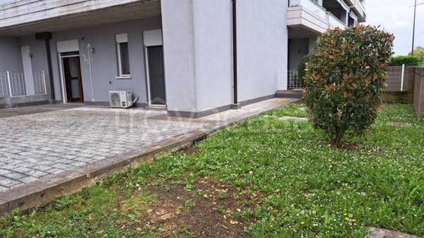 appartamento in affitto a Rovigo
