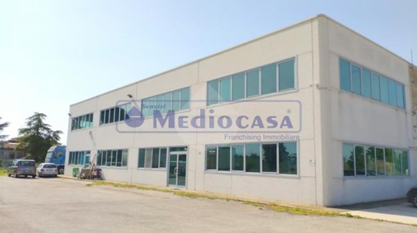 esavano in affitto a Rovigo