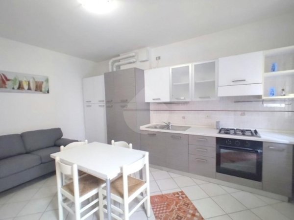 appartamento in affitto a Rovigo