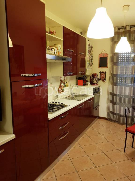 appartamento in affitto a Rovigo