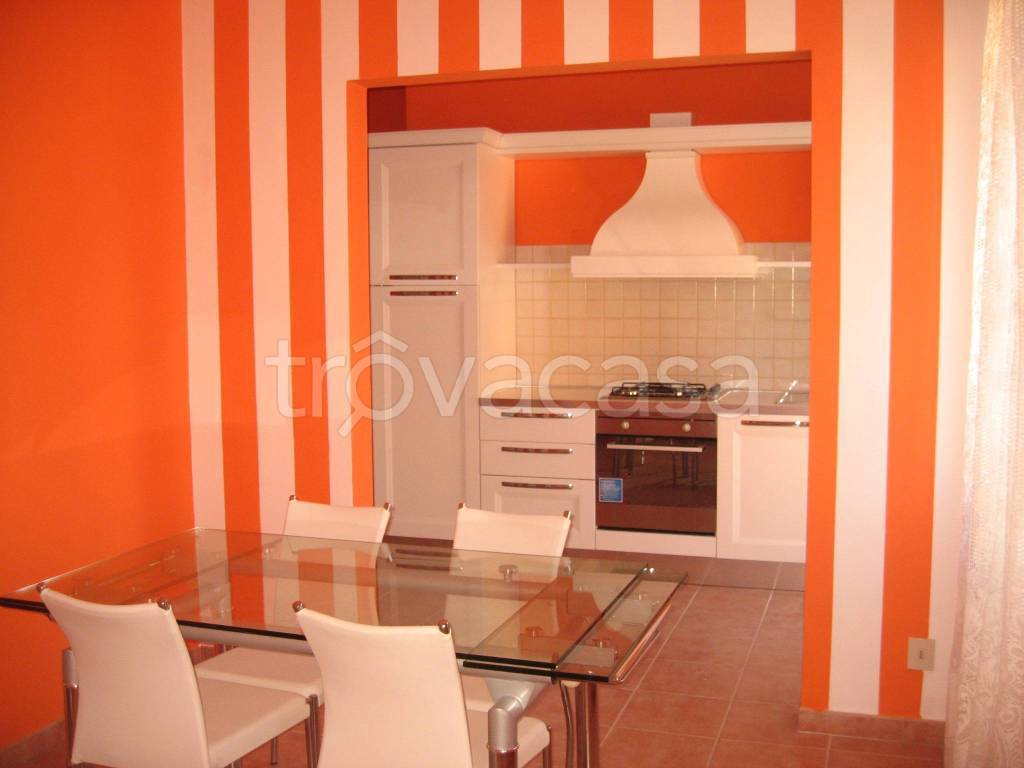 appartamento in affitto a Rovigo