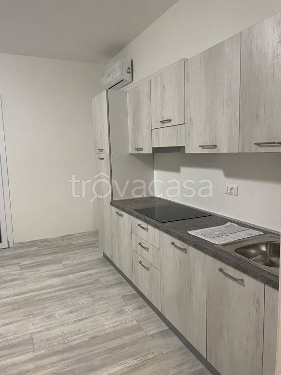 appartamento in affitto a Rovigo