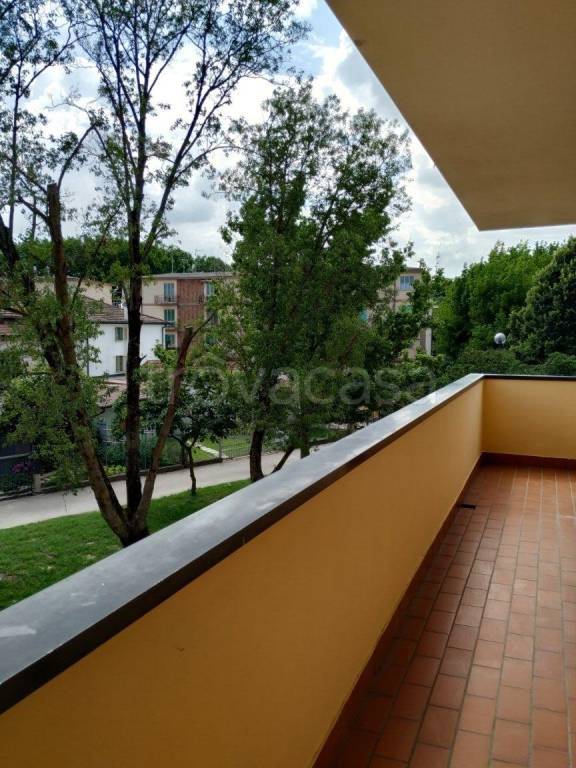 appartamento in affitto a Rovigo in zona San Pio X