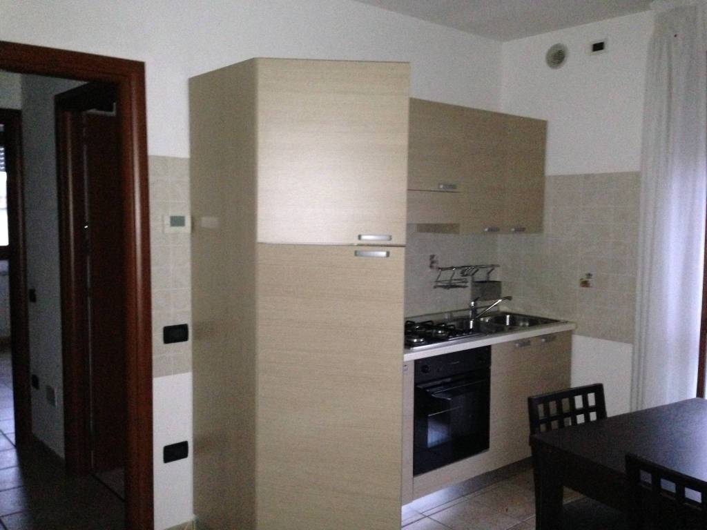 appartamento in affitto a Rovigo in zona Concadirame