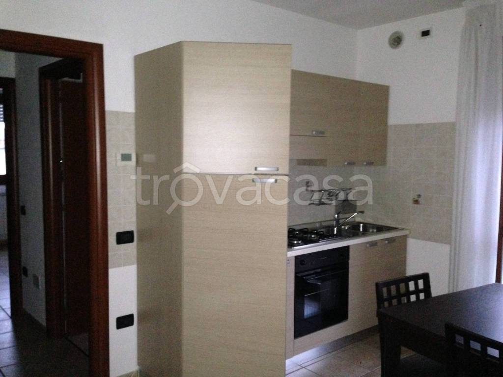 appartamento in affitto a Rovigo