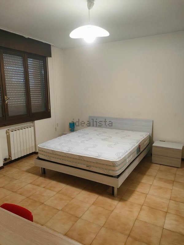 appartamento in affitto a Rovigo