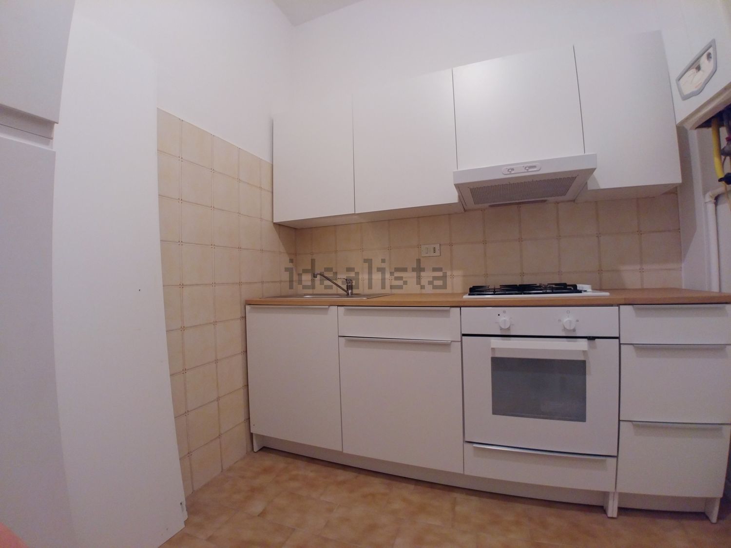 appartamento in affitto a Rovigo