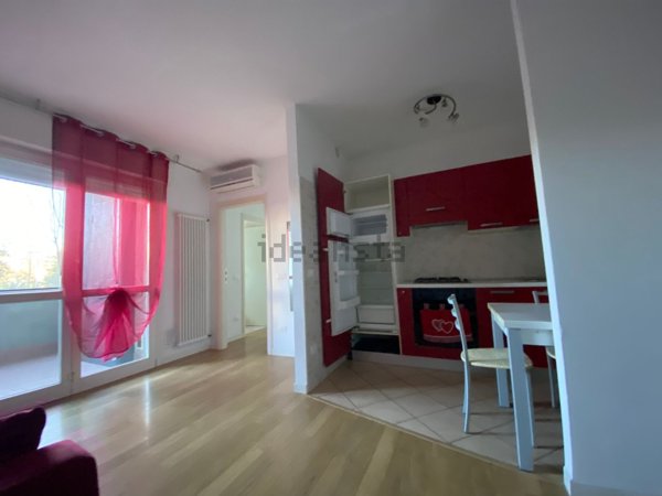 appartamento in affitto a Rovigo