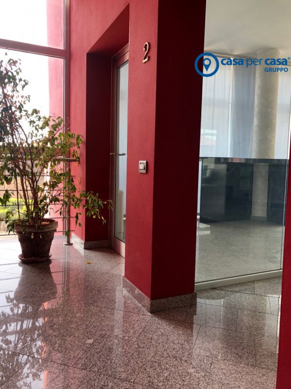 negozio in affitto a Rovigo in zona Borsea