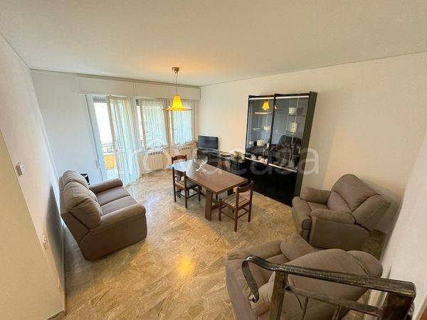 appartamento in affitto a Rovigo