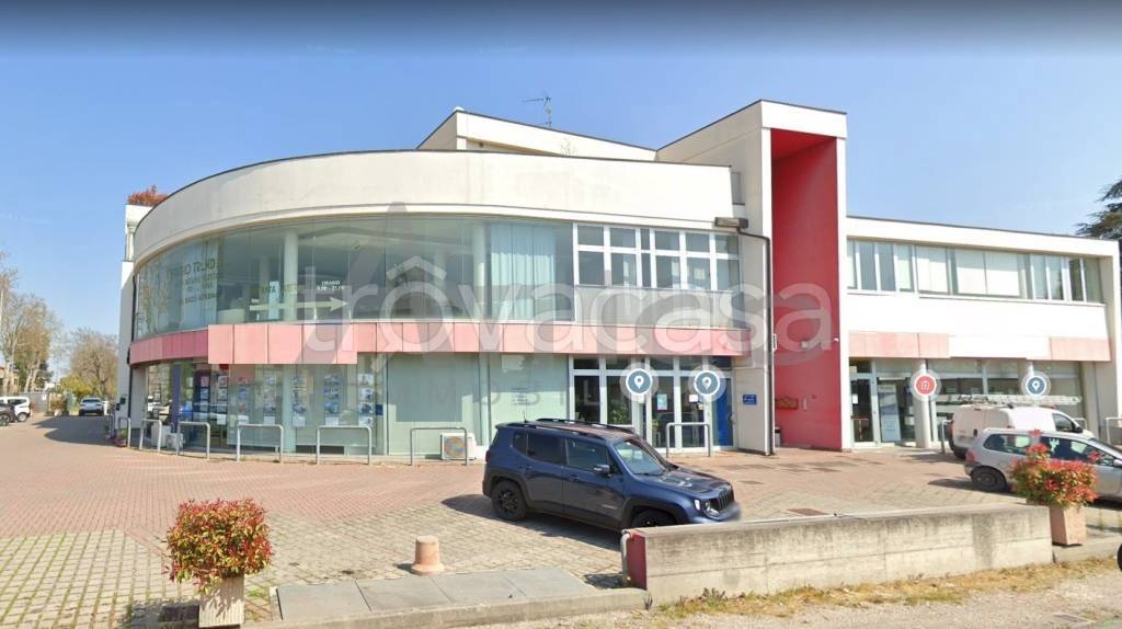 negozio in affitto a Rovigo