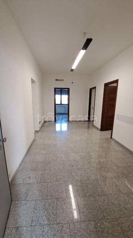 ufficio in affitto a Rovigo