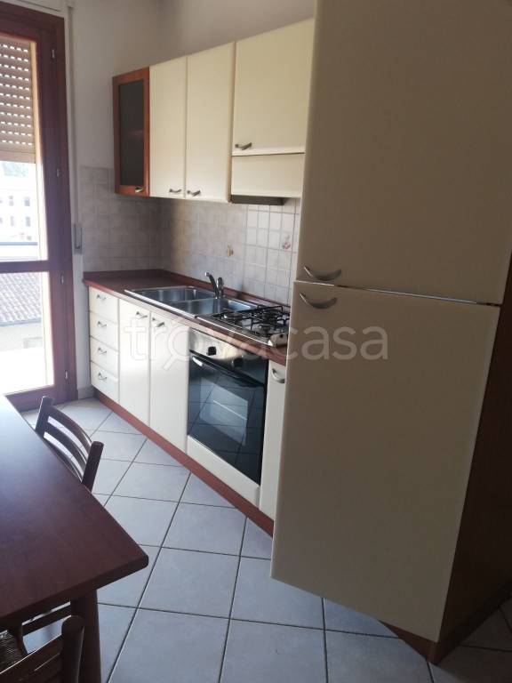 appartamento in affitto a Rovigo